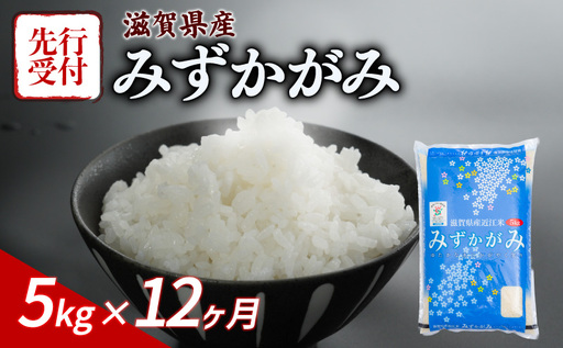 [先行予約 令和8年産][定期便 5kg 12ヶ月] 新米 みずかがみ 新米