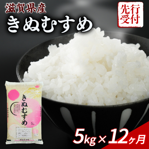 [令和8年産] 先行予約 新米 きぬむすめ 5kg 12回定期便 令和8年産 定期便 米 キヌムスメ 1年定期便