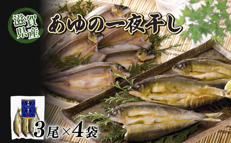 [あゆの店きむら] 滋賀県産 あゆの一夜干し 3尾×4袋