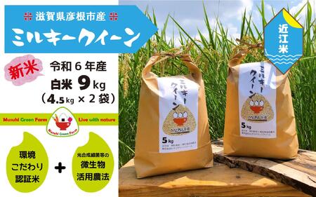 [令和6年産・白米]近江米10kg「ミルキークイーン」精米後約9kg(約4.5kg×2)|彦根 ひこね 滋賀 おすすめ コメ お米 米 こめ 10キロ