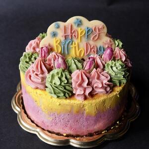 バースデーケーキ「Colorful Nature」化粧箱入り／お誕生日のヴィーガンケーキ【乳製品不使用】