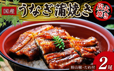 うなぎ蒲焼き 2尾(135g以上×2) 炭火焼き鰻 国産鰻 鰻蒲焼き 鰻蒲焼き 鰻