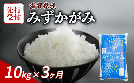 米 定期便 令和7年産先行受付 みずかがみ 10kg 3ヶ月 米定期便 米定期便 米定期便 米定期便
