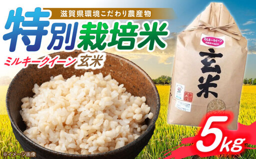 低農薬栽培 ミルキークイーン 玄米5kg[AQBL022] 玄米