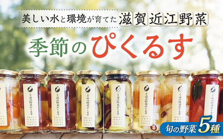 滋賀近江ぴくるす 季節の5種セット 滋賀県長浜市/株式会社わたなべ陶器[AQAC019]