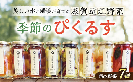 滋賀近江ぴくるす 季節の7種セット 滋賀県長浜市/株式会社わたなべ陶器[AQAC020]