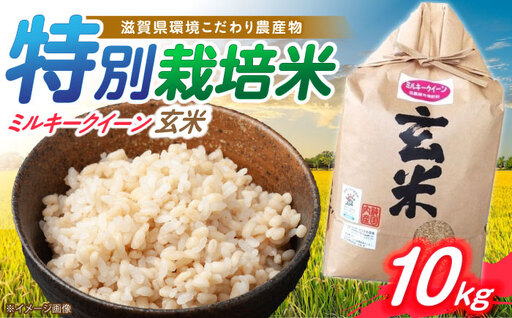 低農薬栽培 ミルキークイーン 玄米10kg[AQBL021] ミルキークイーン
