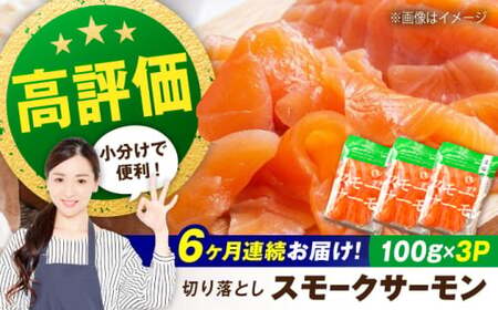 【全6回】スモークサーモン 100ｇ×3[AQAJ036]スモークサーモンスモークサーモンサーモンサーモン