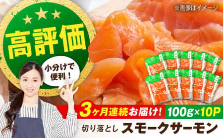 [全3回]スモークサーモン 100g×10[AQAJ038]サスモークサーモンスモークサーモンサーモンサーモン