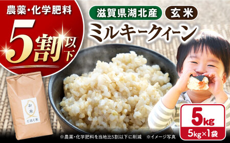 [令和7年産新米][減農薬米]滋賀県湖北産 湖北のミルキークイーン 玄米5kg[AQAK009] 玄米