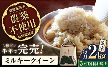 [令和7年産新米][全5回]自然栽培米ミルキークイーン 2kg玄米×5回[AQCP007] 玄米