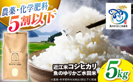 [先行予約][9月下旬〜順次発送]R7年度産 新米 近江米コシヒカリ5kg[AQAW003]コシヒカリコシヒカリコシヒカリコシヒカリコシヒカリ白米白米白米白米白米
