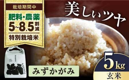 [先行予約/令和7年産新米]特別栽培米みずかがみ 5kg玄米[AQCP053] 玄米 玄米 玄米 玄米 玄米