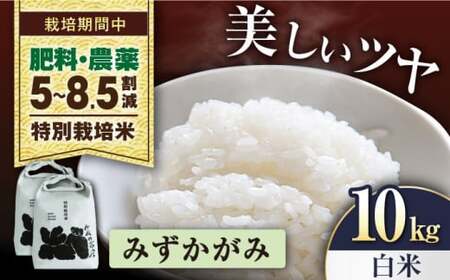[先行予約/令和7年産新米]特別栽培米みずかがみ 5kg×2袋 白米[AQCP056] 白米 白米 白米 白米 白米