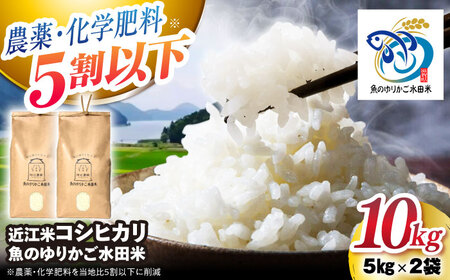 [令和7年産新米]近江米 コシヒカリ 10kg [AQAW012] こしひかり 魚のゆりかご水田米