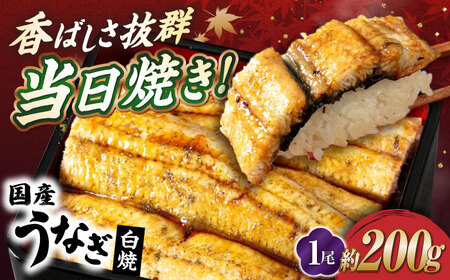 国産活うなぎ1尾(白焼)[AQDF010] 鰻 鰻 鰻 鰻 鰻 鰻 鰻