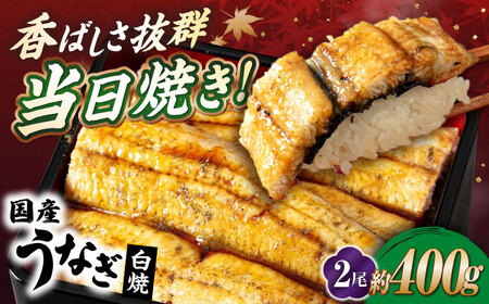 国産活うなぎ2尾(白焼)[AQDF011] 鰻 白焼き 国産 活うなぎ