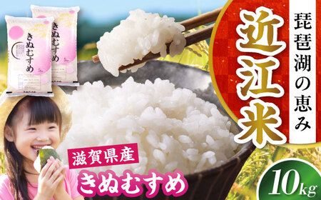 yߘa7NYVāzʂނ 10kg  [AQDH006] ʂނ 