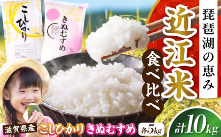 [令和7年産新米]コシヒカリ・きぬむすめ白米食べ比べセット [AQDH007] こしひかり 白米 食べ比べ セット