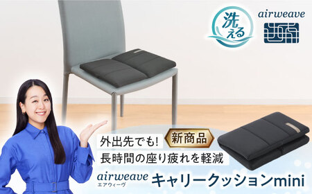 エアウィーヴ キャリークッション mini[AQBV177] エアウィーヴ 新商品
