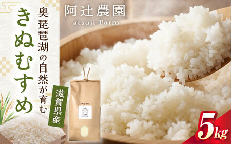 [令和7年産新米]きぬむすめ5kg 阿辻農園 [AQAW015] 米 白米