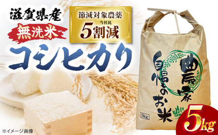 [令和7年度産新米] 無洗米 コシヒカリ 5kg [AQDK003] 無洗米