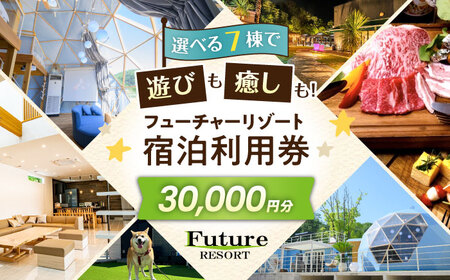 �t���[�`���[���]�[�g �h�����p��30,000�~�� ���ꌧ���l�s/������Ѓt���[�`���[���{[AQCG010]