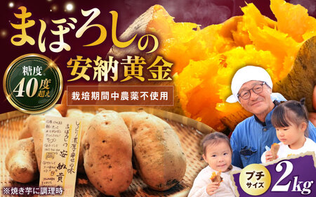 さつまいも[熟成]プチサイズ安納黄金 2kg[AQCF003]サツマイモ