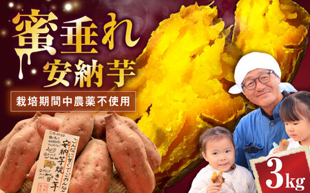 さつまいも[厳選]熟成安納芋 3kg[AQCF005]サツマイモ