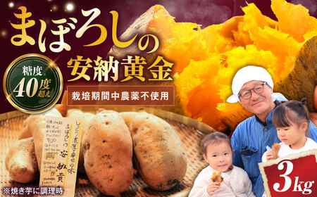 さつまいも[厳選]熟成安納黄金 3kg[AQCF009]サツマイモ