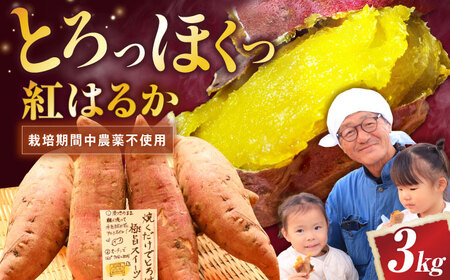 さつまいも[厳選]紅はるか 3kg[AQCF013]サツマイモ