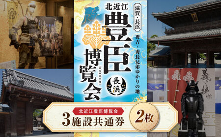北近江豊臣博覧会3施設共通券 2枚 [AQDR002]