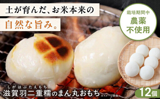 滋賀羽二重糯のまん丸おもち 12個 滋賀県長浜市/そふぁら[AQEC001]