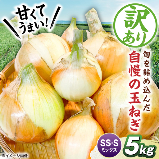 [先行予約][訳あり]玉ねぎ5kg(SS・Sサイズミックス) 滋賀県長浜市/柏本農園株式会社[AQDZ001]