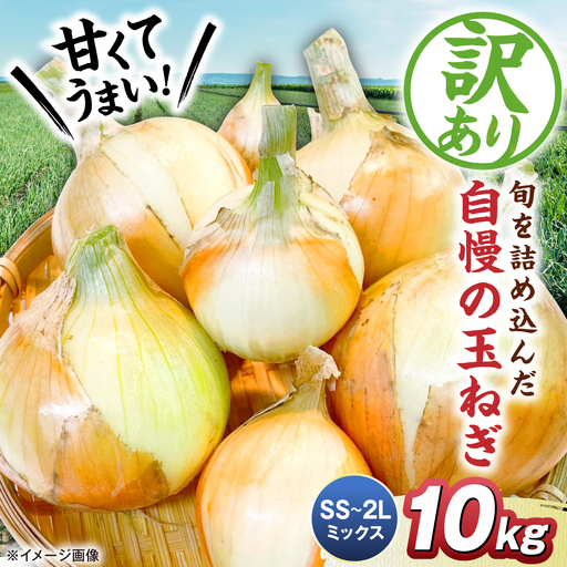 【先行予約】【訳あり】玉ねぎ10kg（全サイズミックス）[AQDZ004]玉ねぎ