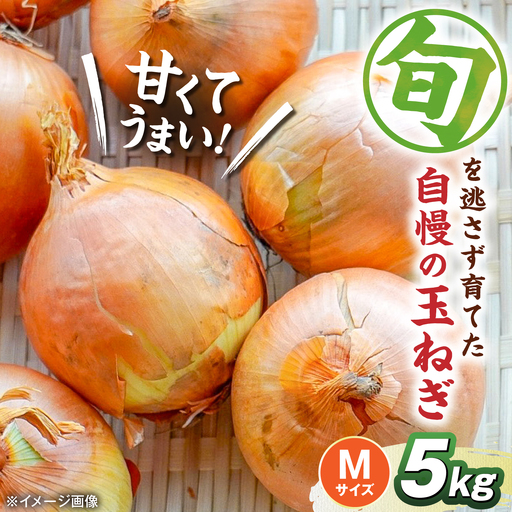 【先行予約】玉ねぎ5kg（Mサイズ）[AQDZ006]玉ねぎ