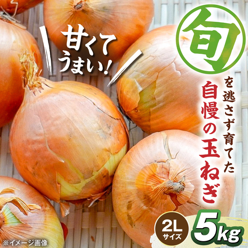 [先行予約]玉ねぎ5kg(2Lサイズ) 滋賀県長浜市/柏本農園株式会社[AQDZ008]