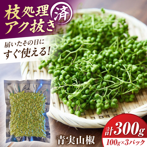 [佃煮の伊吹]青実山椒 300g [AQCA012]実山椒