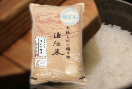 【4年産】近江米 環境こだわり栽培 コシヒカリ 無洗米 【10kg×1】【BN01SM1】