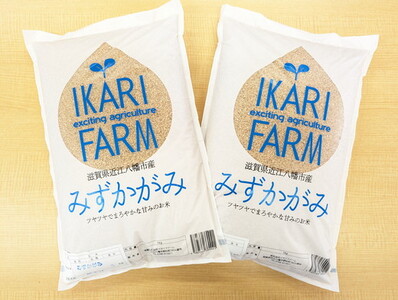 [新米][7年産] みずかがみ 玄米 10kg ( 5kg × 2袋 ) 冷めても美味しい あっさりとした味わい [C018U1]近江米 みずかがみ