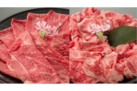 近江牛二種セット[1kg(赤身スライス500g、切り落とし500g)][AC13SM1]