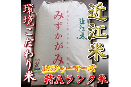 [新米][令和7年産]環境 こだわり 米 みずかがみ 玄米 [ 30kg × 1袋 ] [K073U1]