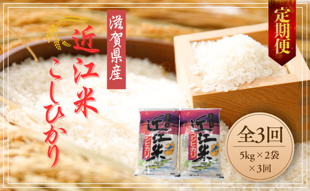 [3ヵ月定期便][7年産] こしひかり 30kg ( 10kg × 3回 ) ふるさと 定期便 [T033W1] 5kg 2袋 コシヒカリ