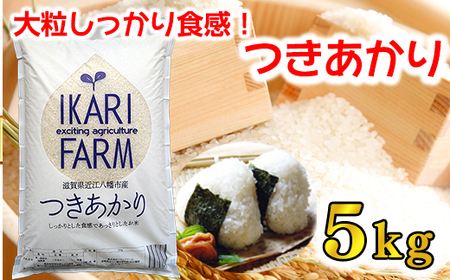 [6年産]つきあかり白米5kg 「大粒でしっかりした食感」[C056U](米 コメ こめ 新米 6年産 白米 はくまい ごはん ご飯 精米 つきあかり ツキアカリ 先行 予約 近江米 5キロ 5kg)