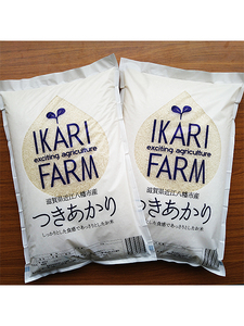 [6年産]つきあかり白米10kg(5kg×2袋) 「大粒でしっかりした食感」[C057U](米 コメ こめ 新米 6年産 白米 はくまい ごはん ご飯 精米 つきあかり ツキアカリ 先行 予約 近江米 10キロ 10kg 5キロ 5kg)