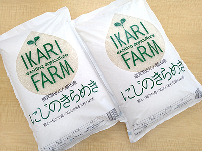 [6年産]にじのきらめき白米10kg(5kg×2袋)「大粒で食べ応えあり」[C060U](米 コメ こめ 新米 6年産 白米 はくまい ごはん ご飯 精米 にじのきらめき ニジノキラメキ 先行 予約 近江米 10キロ 10kg 5キロ 5kg)