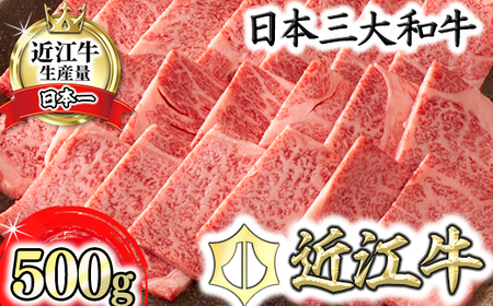 [4等級以上][カネ吉山本]近江牛[選] 焼肉用 リブロース[500g][Y088SM1]