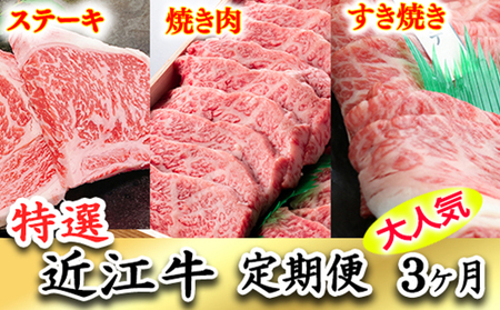 令和6年12月31日までの期間限定極上近江牛500g 食べ方色々! アソート定期便[ZZ36U]