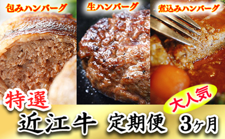 令和6年12月31日までの期間限定みんな大好き ハンバーグ定期便[ZZ38U]