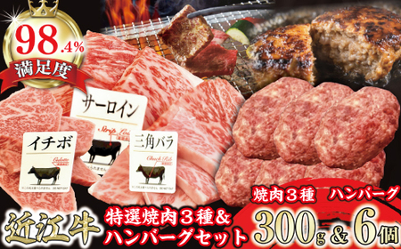 特撰近江牛おすすめ部位　焼肉3種300ｇ＆近江牛生ハンバーグ６個セット【FO41U】